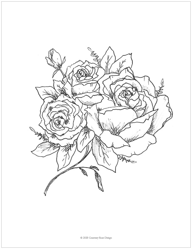 vintage rose sketch